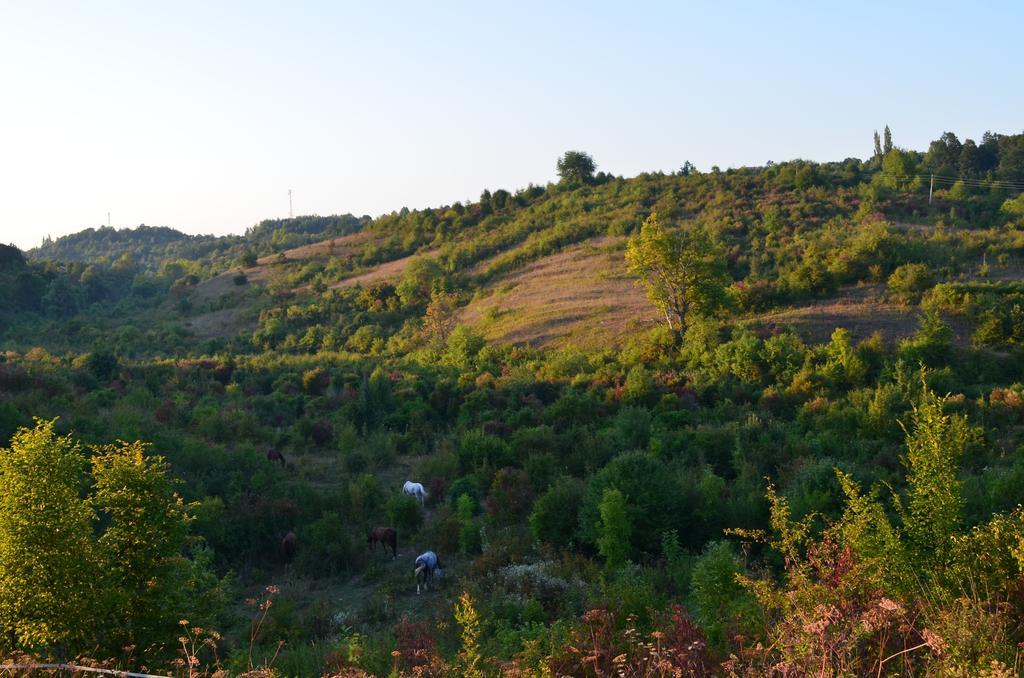 Apartments Fairy Land Rakovica Eksteriør bilde