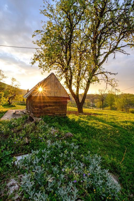 Apartments Fairy Land Rakovica Eksteriør bilde